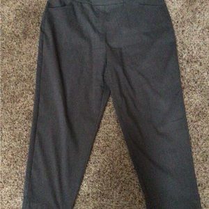 Women’s Gray Pull On Pants by Alfred Dunner sz 20W